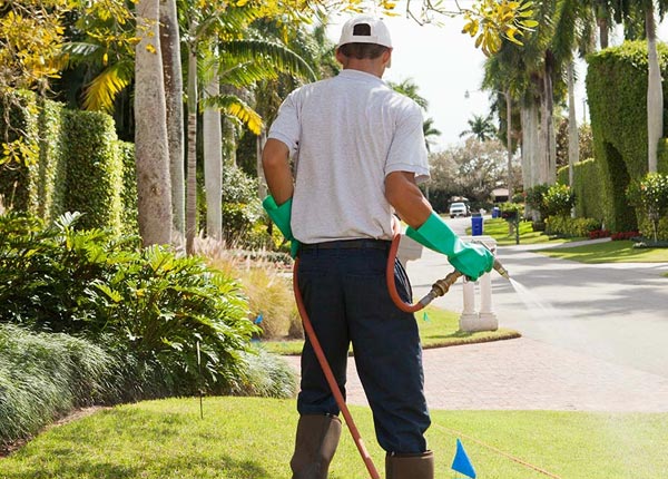 About Janesville WI Pest Control